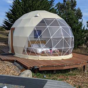 (PAUSED) COSMIC EGG DOME