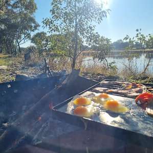 Bush Camping By The Dam