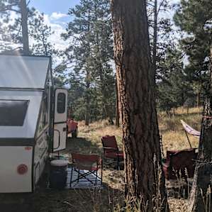 Shaded RV Spot