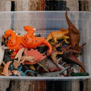 this box of dinosaurs is perfect for a dino-loving kiddo (or grown-up!)