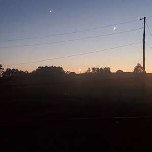 Cate Farm