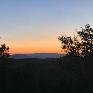 RV stay at Treehouse Camp