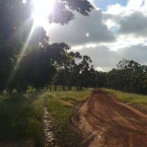 Bush Camp