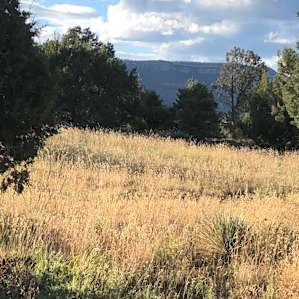 Additional view from campsite