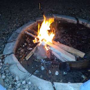 Little Bear Camp