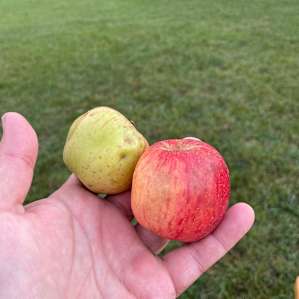 Cold Hollow Disc Golf & Camping