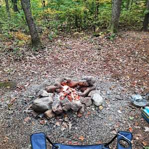 Someday Farm and Forest Camping