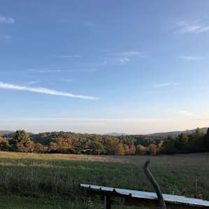 Pride Rock at Harold's View Farm
