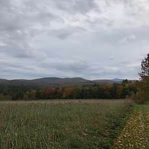 Pride Rock at Harold's View Farm
