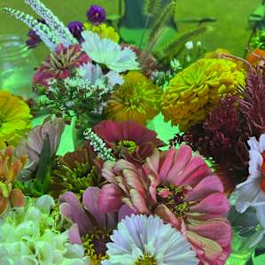 Camp Overnight at Ohio Flower Farm