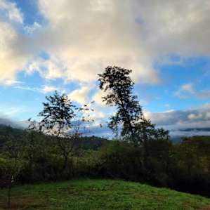 Epic View Music & Arts Farm