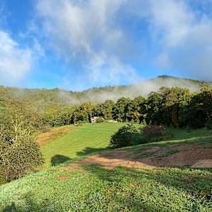 Epic View Music & Arts Farm