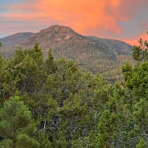RV stay at Treehouse Camp
