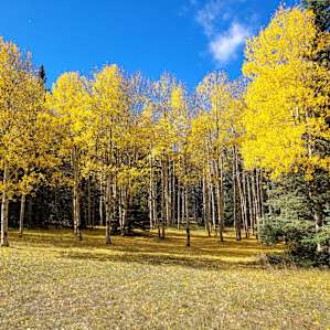 E<< Campground NM
