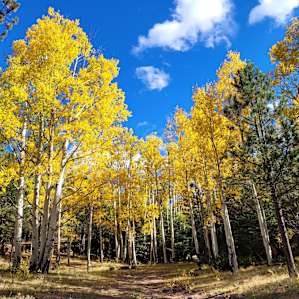 E<< Campground NM