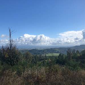 the view!