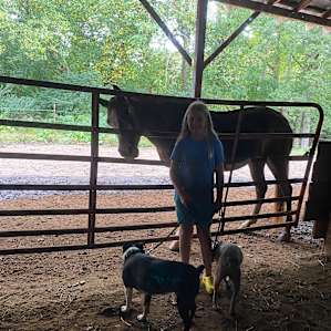 Our pups enjoyed making new friends