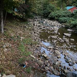 Creekside Shaded VW Camper Van