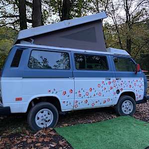 Creekside Shaded VW Camper Van