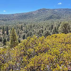 Beautiful views minutes up the trails