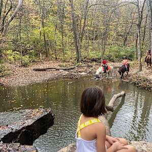 Prairie Creek Campground