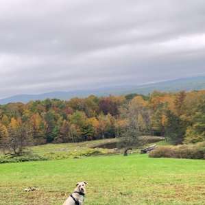 The Meadow at Brandy Brook