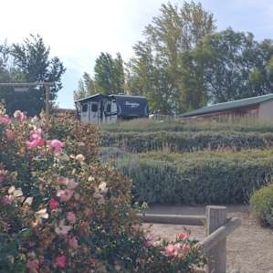 Walla Walla's Lavender Farm
