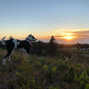 Oceanview Rock Ridge