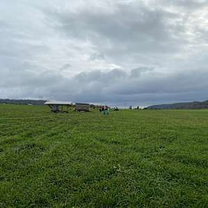 Hideout at Wildom Farm