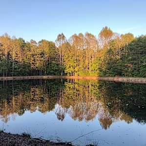This was the view of the pond from the campsite.