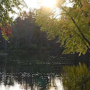 Riverview cabin