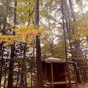 Private forest cedar cabin