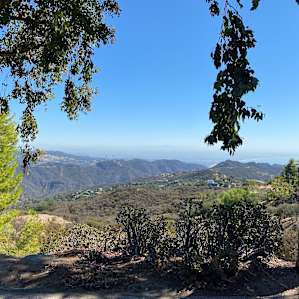 View of LA