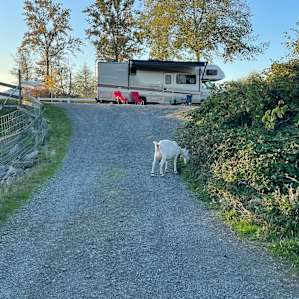 RV River Camping