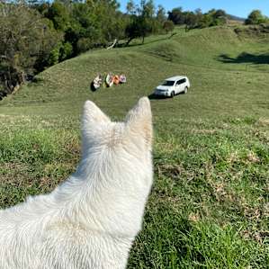 Winegrove - Fig tree Lookout P2 (2WD)