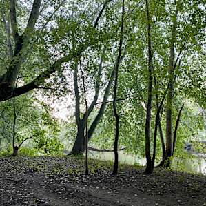 Brokedown Palace Riverside Camping