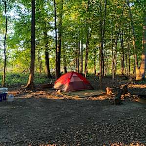 Hidden Woods--Tent Site #1