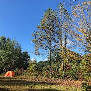 Cloud 9 Campsite