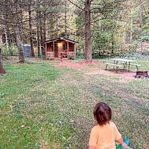 The cabin is very private! Fire ring and wood provided!