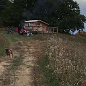 Cabin 6
