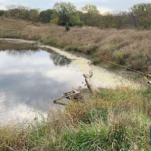 Fishing by the pond