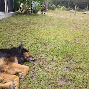 Lots of green space to relax.