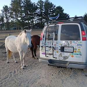 Camp greeters bidding me farewell.