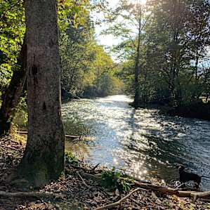 Primitive River