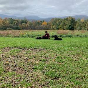 White Oaks Mountain Top Getaway