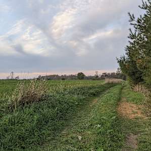 5 acres on river near DOOR county