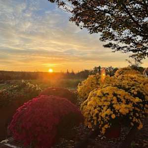 Sunrise
