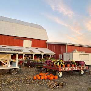 Grisamore Farms