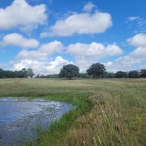 Large lake