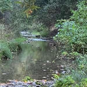 Comfortable Creekside Campsite
